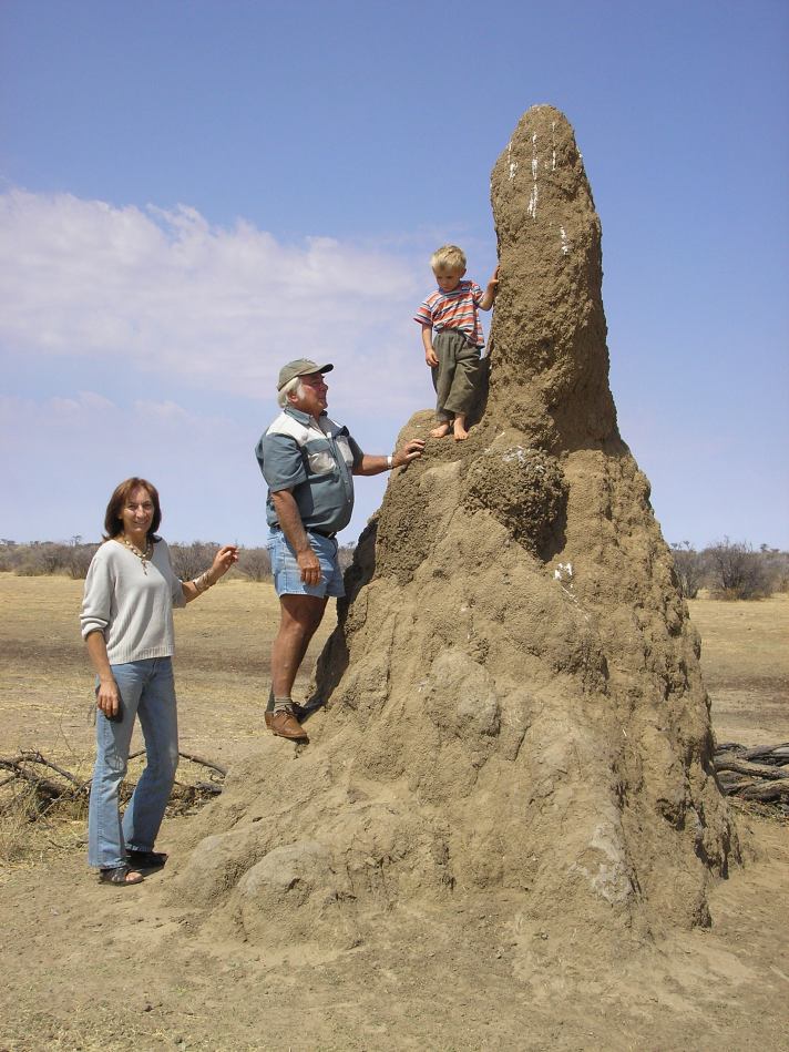 Termite Hill At Apex Farm  